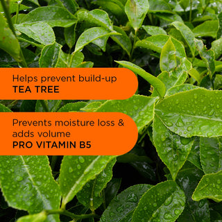 Terug naar balans shampoo 