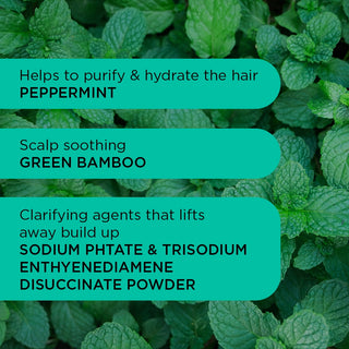 Detox Dynamo Shampoo 