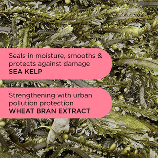 Howdy Locken springen zurück Gel Crème - 200ml